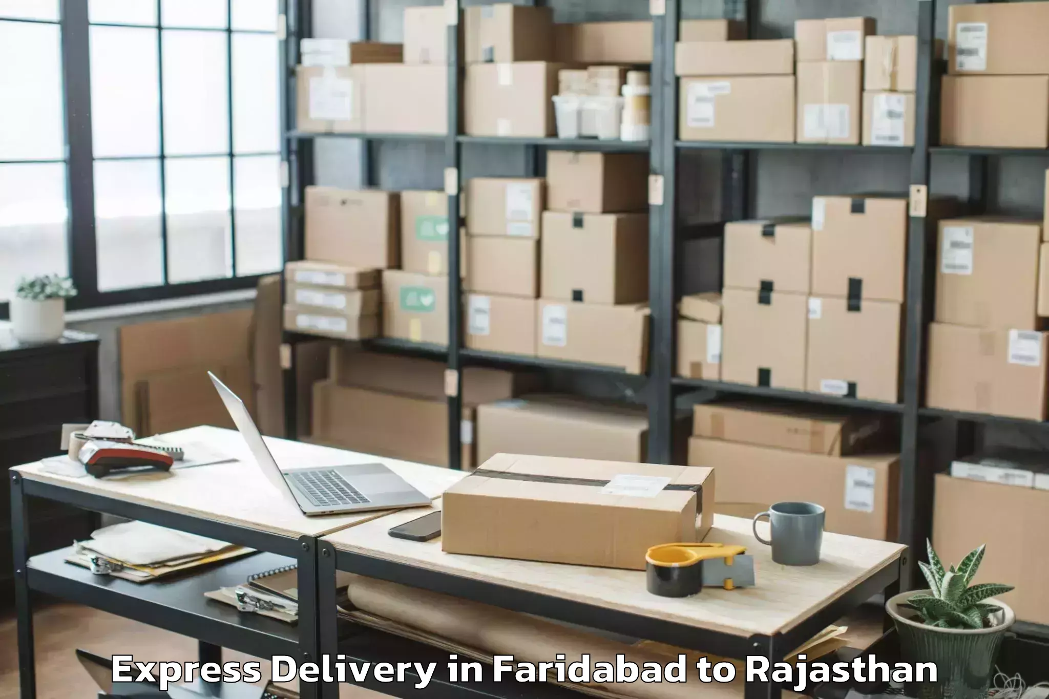 Reliable Faridabad to The Iis University Jaipur Express Delivery